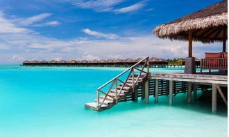 住宿选择：从奢华到经济