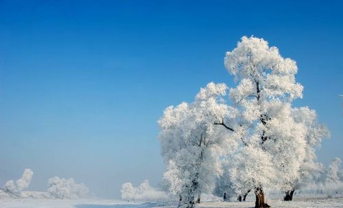 雾凇岛：东方瑞士的冰雪奇境