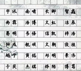 带“冠”的男孩子名字（随便列点儿吧）