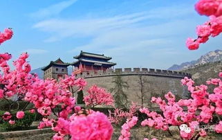 春暖凤翔桃花源， 清明赏花正当时——乱七八糟的旅行指南