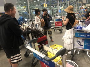 自习塔上的星辰与生肖碰撞