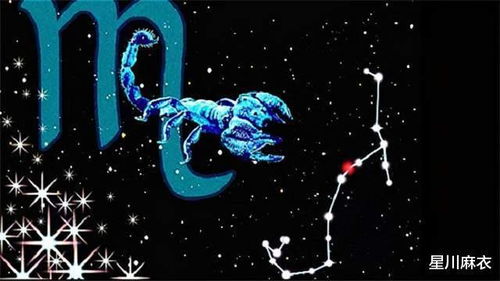 十二星座运势：看了等于没看