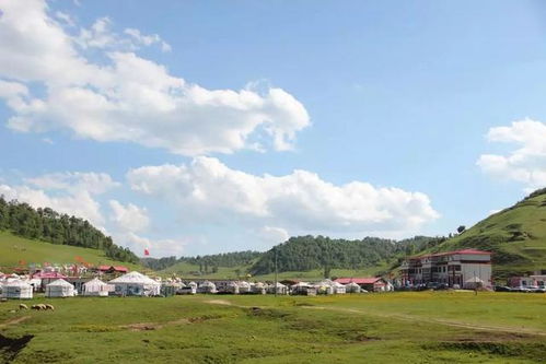 2026年最新价格表大曝光！看完血压飙升