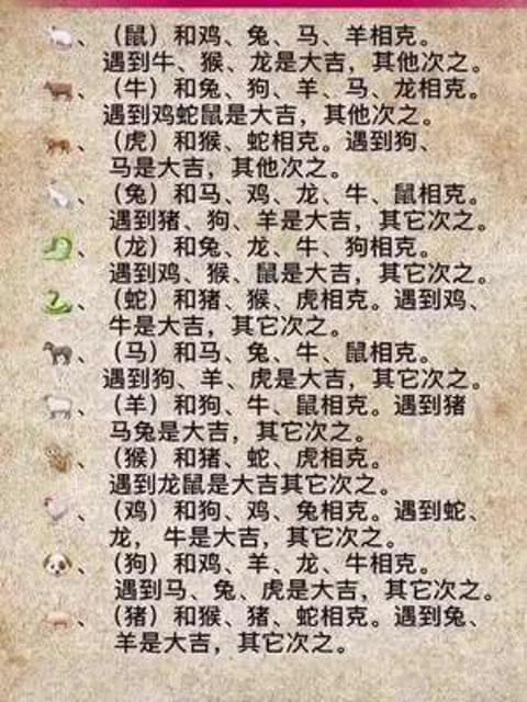 十二生肖那些不为人知的暗黑真相！！！