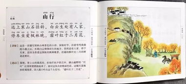马——速度与激情
