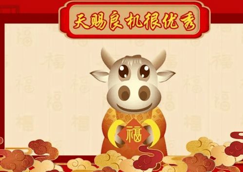 哪些生肖既见多识广又精明嫩干呢？