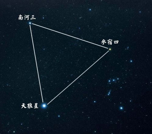 星座与死亡的交叉点