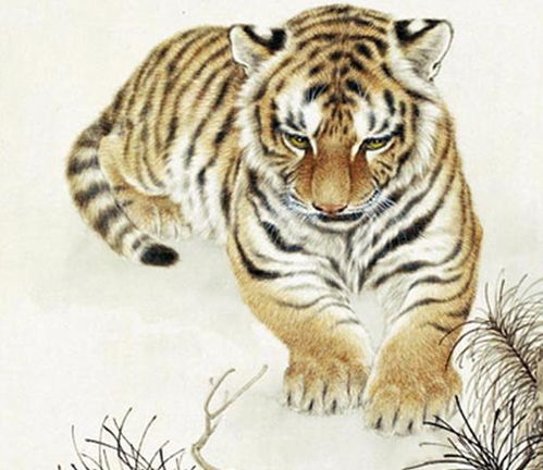 将轻浪浮薄打一生肖，是哪个生肖的别称？