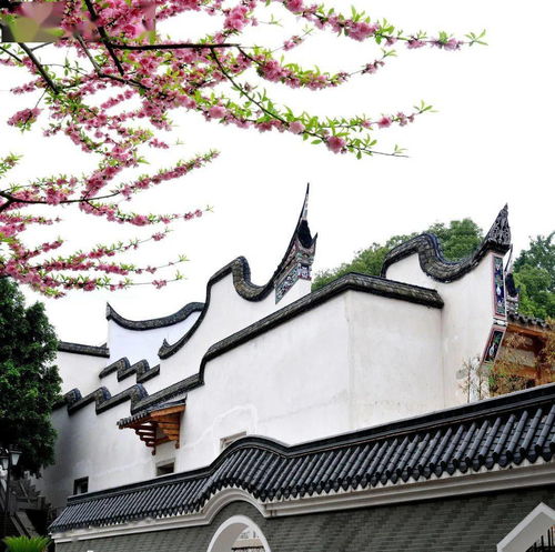 先从三坊七巷说起