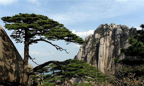 怪石：大自然的鬼斧神工