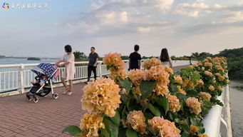 五、 周边景点推荐