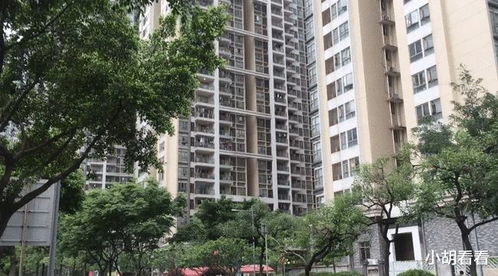 差异化策略：苹果园南路9号如何从死亡走向复活？