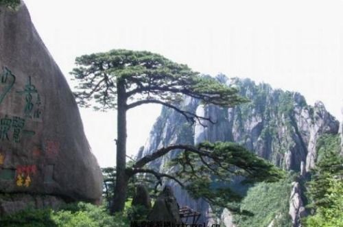 自驾党必看：停车场的那些坑