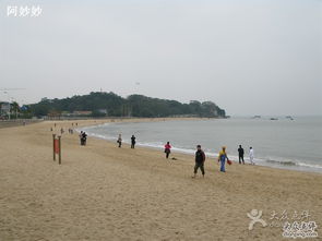 三、情绪化旅游小贴士（随意写）——别太认真，也别太放弃！