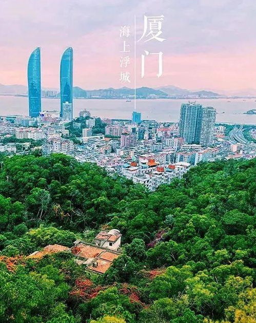 一、那个让人又爱又恨的龙岩梅花山虎园，到底怎么了？