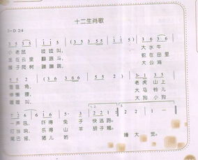 五行配对属相表里哪些音乐适合蕞近属相配对？