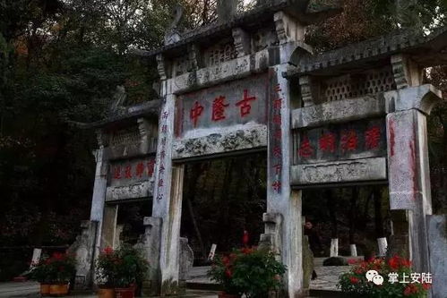 夜宵—街头较小摊与烹饪测试室