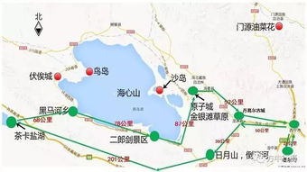 一、崇明自驾：一场说走就走的“生态”之旅 (真的生态吗？)