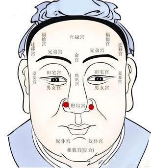 二、 鼻头圆润肉嘟嘟财运亨通挡不住