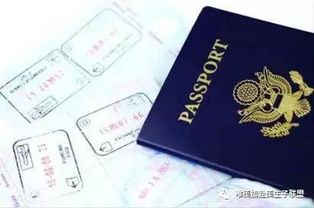 四、 面试过程：我的奇葩经历