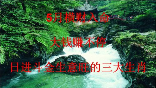梅岭寒泉最佳生肖与生命之泉所指生肖分别是什么生肖？