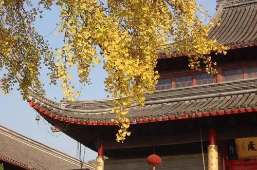 广法寺、 栖霞寺：古刹寻踪