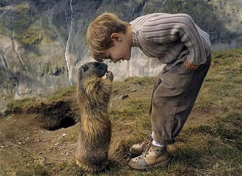 藏在幼儿园的暗地：土拨鼠星座的影响