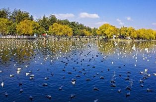 盘龙区：滇池美景尽收眼底