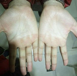 如何通过看施主手相来给人准确解读命运？
