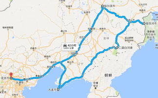 北京疯玩指南：扔掉攻略！跟着流浪猫找美食！
