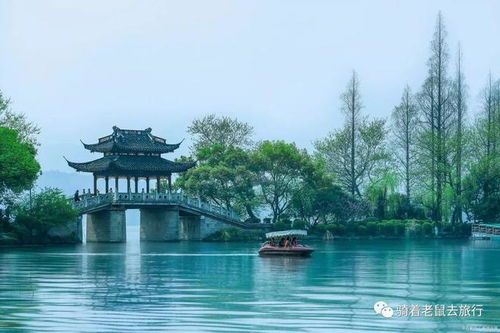 大虹桥的风景：历史与现代的交融