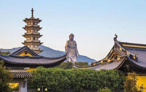 旅行体验