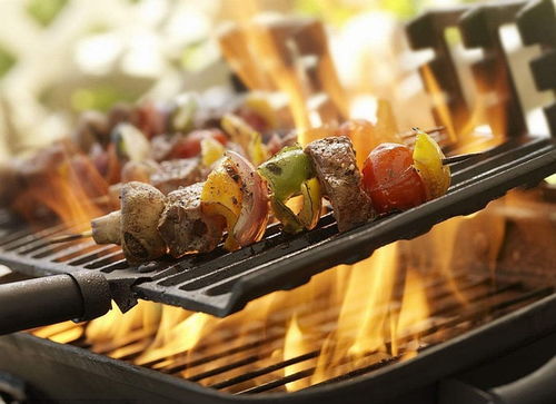 野餐烧烤：享受美食与美景