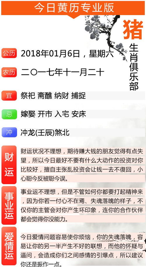 1月6日属猪人运势详解书具体内容有哪些？