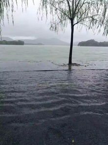 远离喧嚣，拥抱自然的孤山