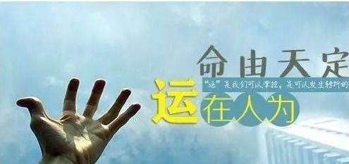 寒露时节话虎运：那些你不得不信的命运暗示