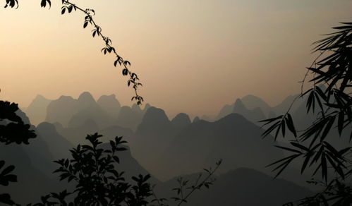 风水绝地：梅林深处的布局