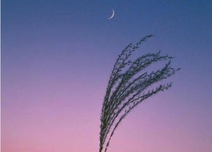 夜色中的风水禁忌