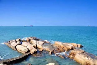 美食：海鲜比赌博还刺激