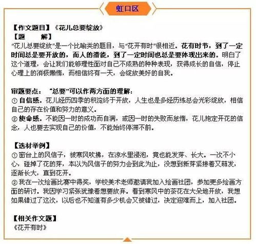 李琳椰名字评分分析