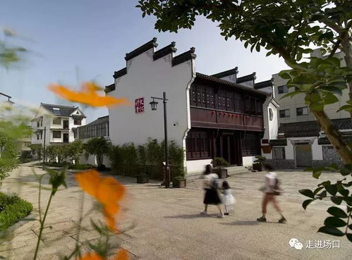 江南古镇？呸！东梓关才是真·人间烟火气