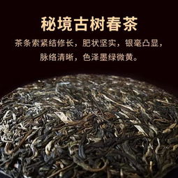 冲泡体验——让杯中天地相遇