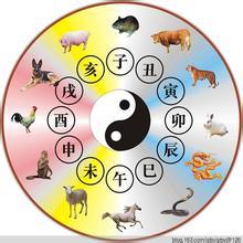 哪个生肖被称为八字歪，而歪八竖八指又是哪个生肖呢？