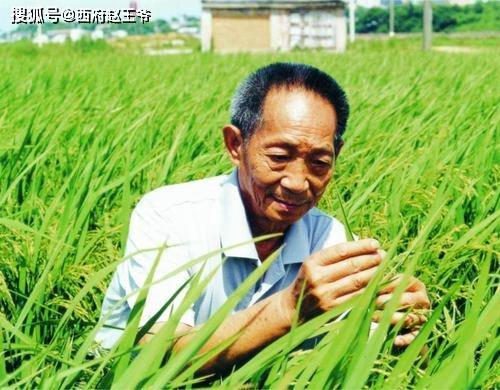 噪声与碎片化叙事：打破语言模式化尝试
