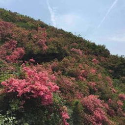 木兰云雾山十一月的秘密：那些被遗忘的优惠与惊喜