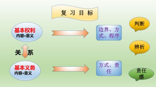 了解晨熹命名法的精髓