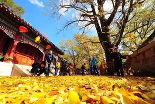 崂山：探寻天然之美