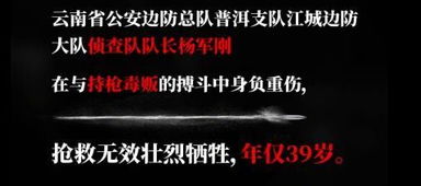 龙子之命究竟意味着什么它背后蕴含着怎样的命运奥秘？