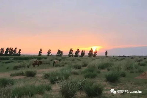 那些乱七八糟的景点和不知道怎么凑字数的介绍