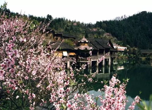 一、春意盎然的桃花潭？呵呵，也就那样吧